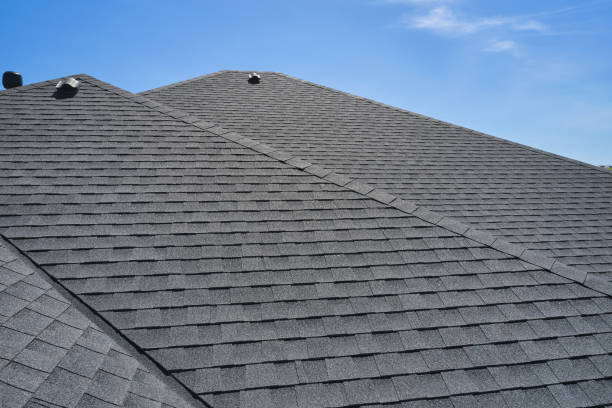 Best Asphalt Shingle Roofing  in East Lake Orient Park, FL