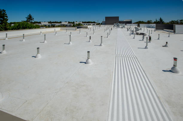 Best Roof Insulation Installation  in East Lake Orient Park, FL